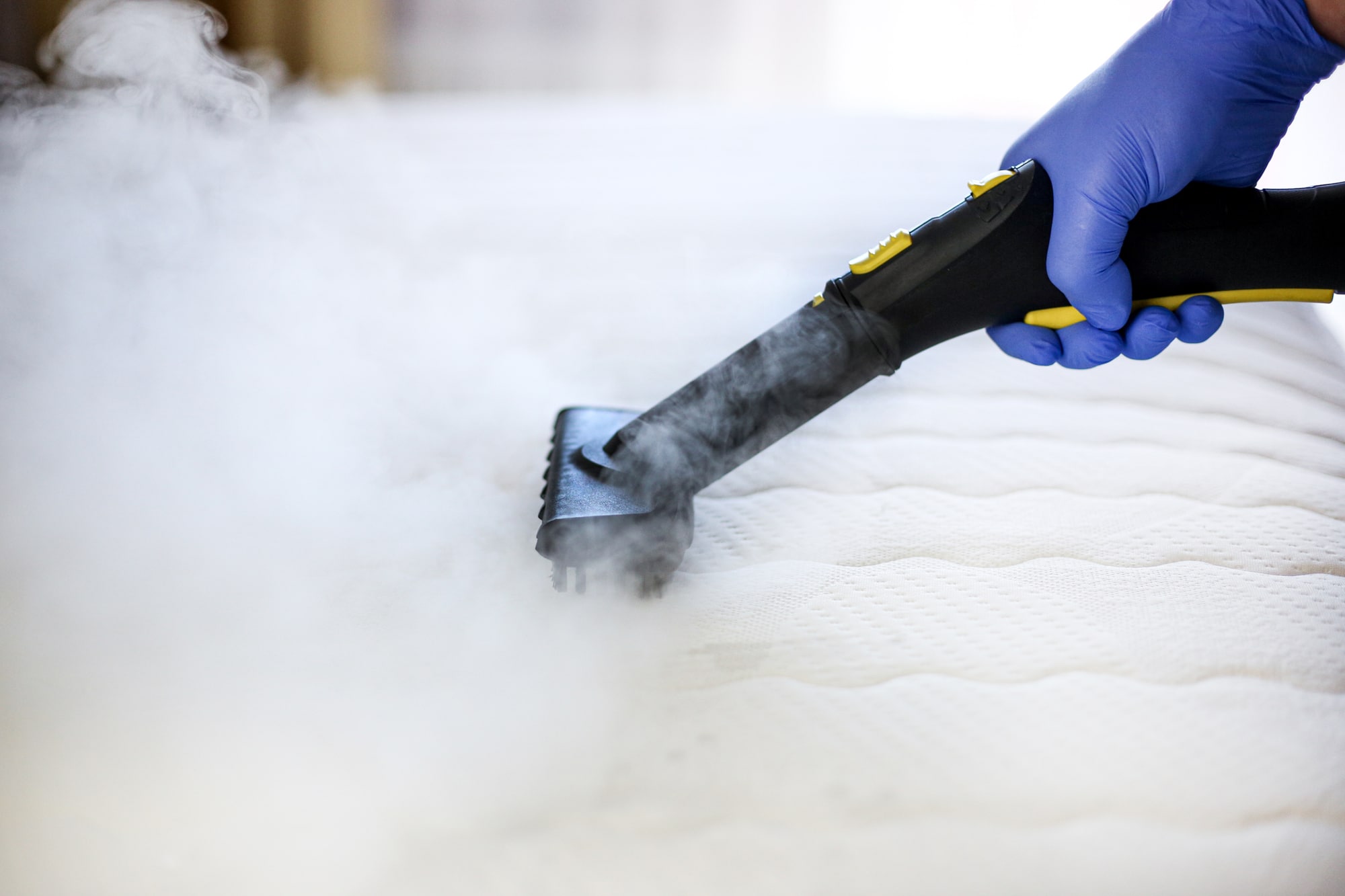 Bedbug Cleaning Bedbug Cleaning