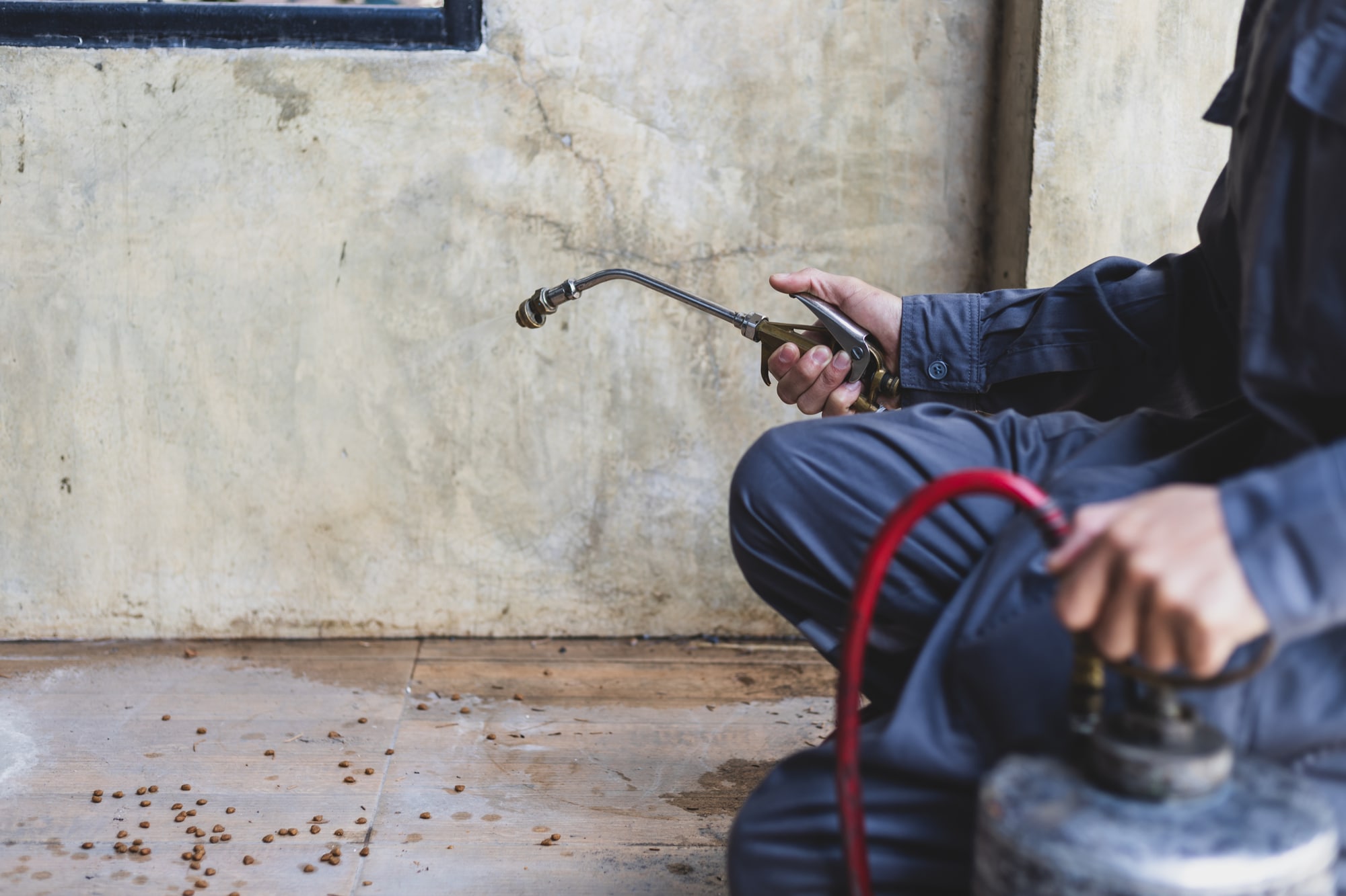 Pest Control Coulsdon Pest Control Coulsdon