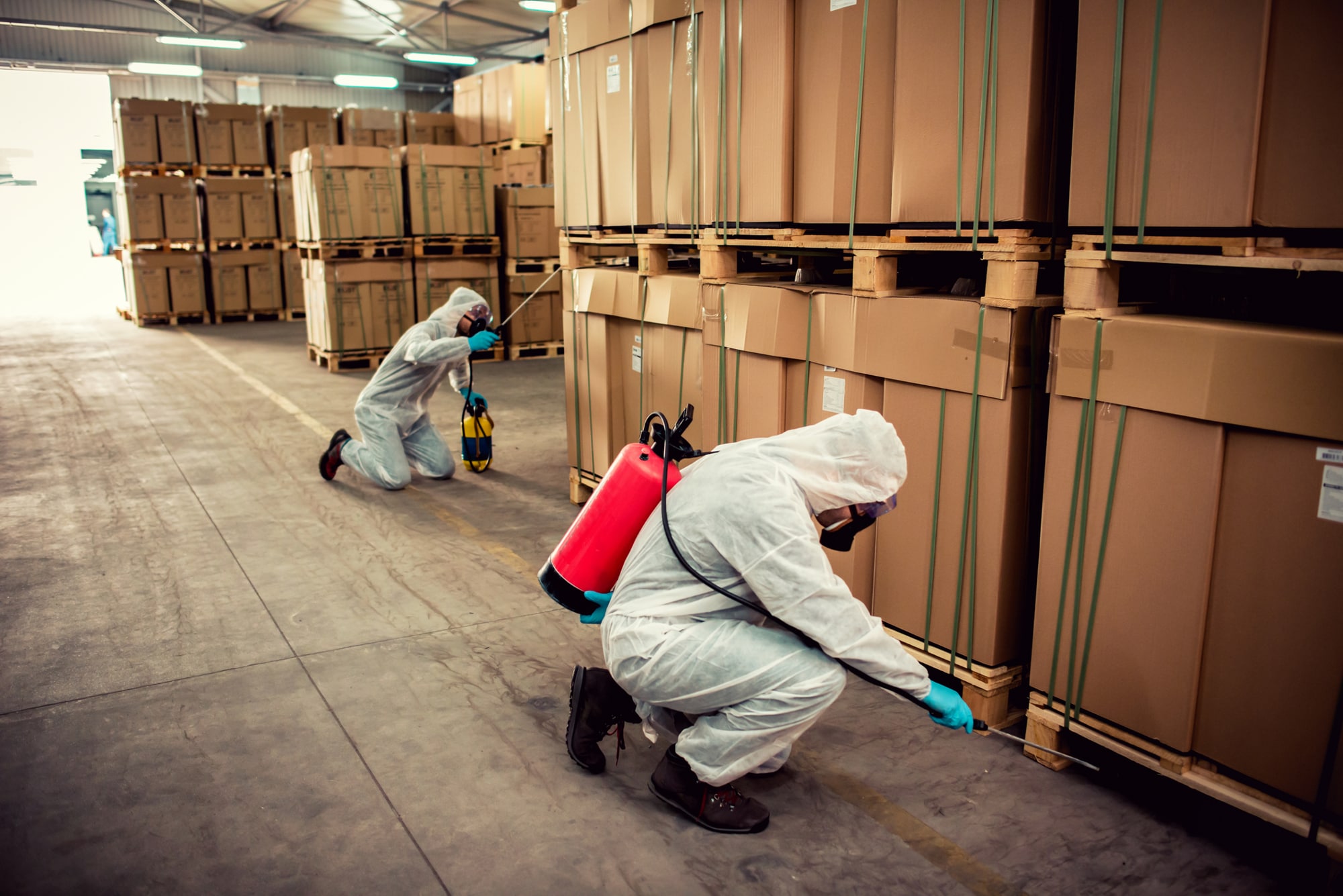 Pest Control Ewell Pest Control Ewell
